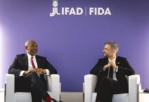 Africa Cannot Grow Without Power And Food, Says Tony Elumelu
