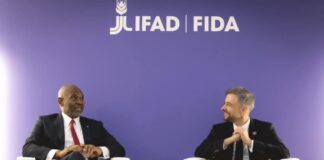 Africa Cannot Grow Without Power And Food, Says Tony Elumelu