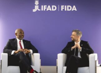 Africa Cannot Grow Without Power And Food, Says Tony Elumelu