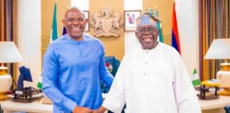 “Not Even One Call About FX Anymore” — Elumelu Praises Tinubu, CBN Reforms