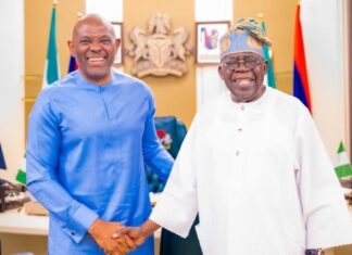 “Not Even One Call About FX Anymore” — Elumelu Praises Tinubu, CBN Reforms