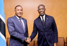 Nigerian Akinwole Omoboriowo Appointed Botswana Power Corporation Vice Chairman Amid Energy Reform Drive