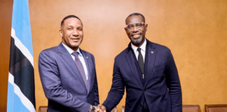 Nigerian Akinwole Omoboriowo Appointed Botswana Power Corporation Vice Chairman Amid Energy Reform Drive