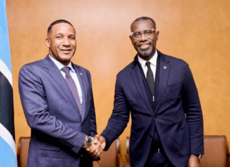 Nigerian Akinwole Omoboriowo Appointed Botswana Power Corporation Vice Chairman Amid Energy Reform Drive