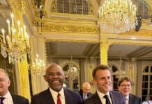 Elumelu Meets Macron, Calls For Global Alliance To Create Jobs For African Youth