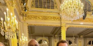 Elumelu Meets Macron, Calls For Global Alliance To Create Jobs For African Youth