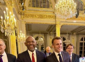 Elumelu Meets Macron, Calls For Global Alliance To Create Jobs For African Youth