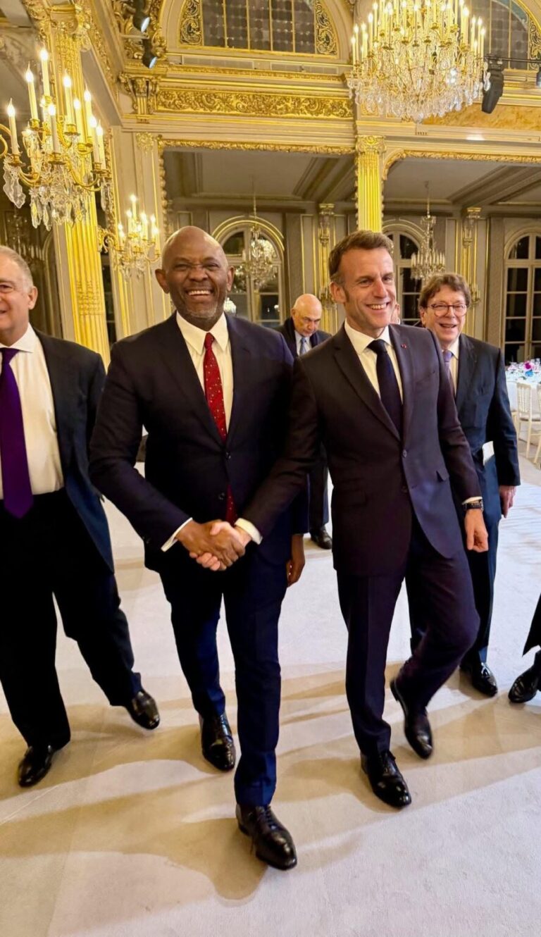 Elumelu Meets Macron, Calls For Global Alliance To Create Jobs For African Youth