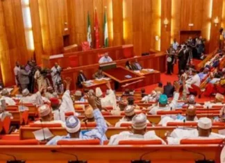 Senate Moves to Legalise State Police by 2026 as Tinubu Pushes Urgent Constitutional Reform