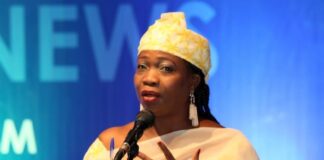 Dabiri-Erewa Condemns Arrest of 42 Nigerians in Mozambique, Demands Immediate Release