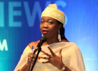 Dabiri-Erewa Condemns Arrest of 42 Nigerians in Mozambique, Demands Immediate Release