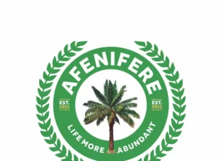 Money, Power Will Decide 2027 Election — Afenifere Research Director Alleges Vote-Buying Plan
