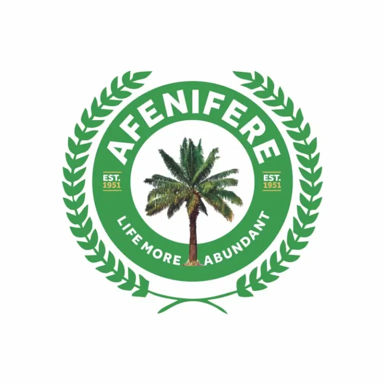 Money, Power Will Decide 2027 Election — Afenifere Research Director Alleges Vote-Buying Plan