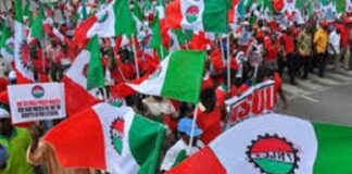 Fuel Price Surge: NLC Warns Nigerians Can’t Bear More Hardship, Demands Urgent Government Action