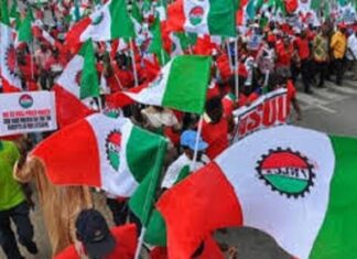 Fuel Price Surge: NLC Warns Nigerians Can’t Bear More Hardship, Demands Urgent Government Action