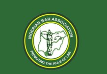 ‘No Judge Can Order Lawyer to Kneel’ — NBA Slams Courtroom Incident