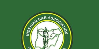 ‘No Judge Can Order Lawyer to Kneel’ — NBA Slams Courtroom Incident