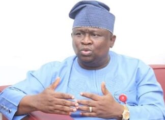 Diaspora Group Rallies Global Support for Solomon Olamilekan Adeola’s Ogun Governorship Bid