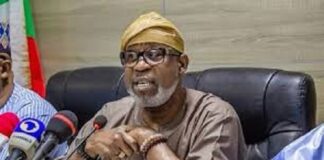 Alake Pushes US–Africa Energy Hubs to Power Mining Boom, Secure Critical Minerals Supply