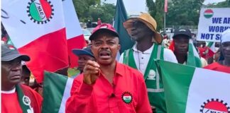 NLC Rejects N6tr GenCos Bailout, Demands Overhaul of Nigeria’s Power Sector