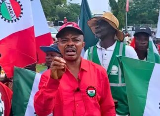 NLC Rejects N6tr GenCos Bailout, Demands Overhaul of Nigeria’s Power Sector