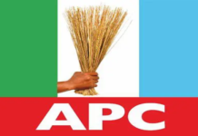 APC Convention Key to Party’s Future, Says Aderonke Amid Rising Expectations