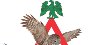 UK Returnee Dies in Lagos-Ibadan Expressway Crash While Heading to Abeokuta Wedding