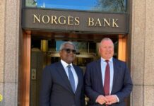 Norwegian Sovereign Wealth Fund Eyes Partnership with Dangote Group on Africa Investments