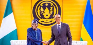 Tinubu, Kagame Push Visa-Free Travel, New Trade Deals to Unlock Africa Business Boom