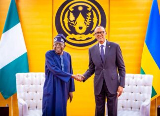 Tinubu, Kagame Push Visa-Free Travel, New Trade Deals to Unlock Africa Business Boom