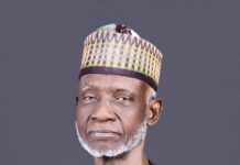 Zenith Bank Appoints Mustafa Bello As Chairman At AGM