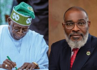 Tinubu Strengthens Security Architecture with Appointment of Adeyinka Fadewa
