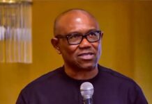 From Obi to Opportunity: Labour Party Rebuilds Ahead of Next Elections