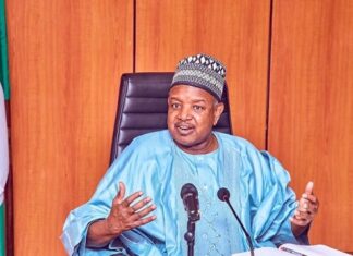 Bagudu: Tinubu’s Reforms Creating Fresh Investment Opportunities for German Businesses