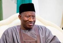 PDP Screening Committee Unveiled: Jonathan Leads, Madumere Eyes Owerri Senatorial Seat