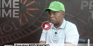 Senator Nwoko Accuses Delta State Government of Rigging APC Primaries, Appeals to President Tinubu