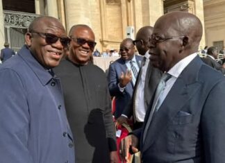 Vatican Handshake Diplomacy: Fayemi Reveals Obi’s Moment with President Tinubu