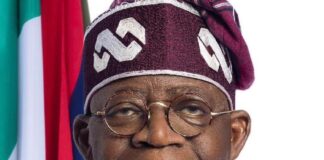Tinubu Commends NIPR President Ike Neliaku Over Fresh Global PR Mandate
