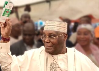 ADC Primaries: Atiku Abubakar Dominates Early Results as Amaechi Trails