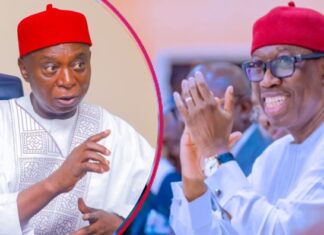 Anioma State Campaign Triggered Political Battle Against Ned Nwoko, Supporters Claim