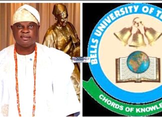 Island Club Congratulates Olota of Ota on Bells University Board Appointment