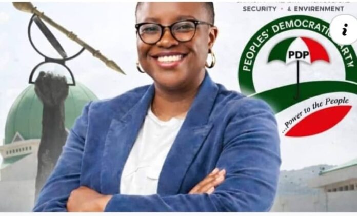 Temitayo_Agemo_Okuboyejo_PDP_newsheadline247