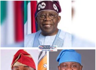 Awori Nation Backs Tinubu for 2027, Endorses Hamzat for Lagos, Yayi for Ogun