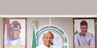 Beyond the Noise: Questions Adeyemi Must Answer