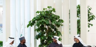 Dangote Meets UAE President, Unveils Bold Vision 2030 for Global Expansion
