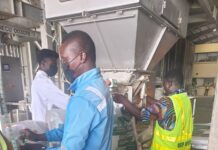 How Nigeria’s Fertiliser Revolution Is Transforming Agriculture and Protecting Farmers