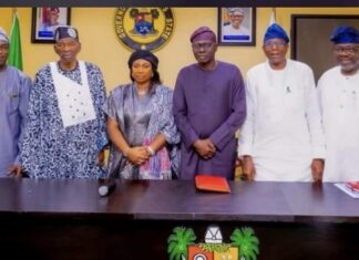 Meet Damilola Sonayan-James: APC’s Choice for Lagos Deputy Governor Ahead of 2027 Poll