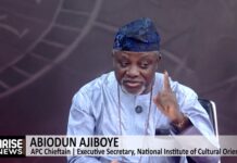 Nigeria Had No Clear Direction Since 1960, Tinubu Correcting Past Mistakes – Ajiboye