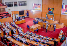 Lagos Lawmakers Set for Grassroots Project Audit, Target Accountability in Local Councils
