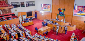 Lagos Lawmakers Set for Grassroots Project Audit, Target Accountability in Local Councils